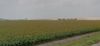 IH-69 Access Rd & CR 48 photo